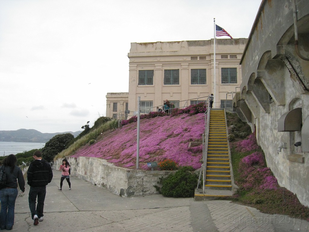 2011 Bay 2 Breakers Saturday 0725.JPG - I was able to participate in the 2011, 100th anniversary of the San Francisco Bay to Breakers 12K race. A great weekend for sight seeing and racing.